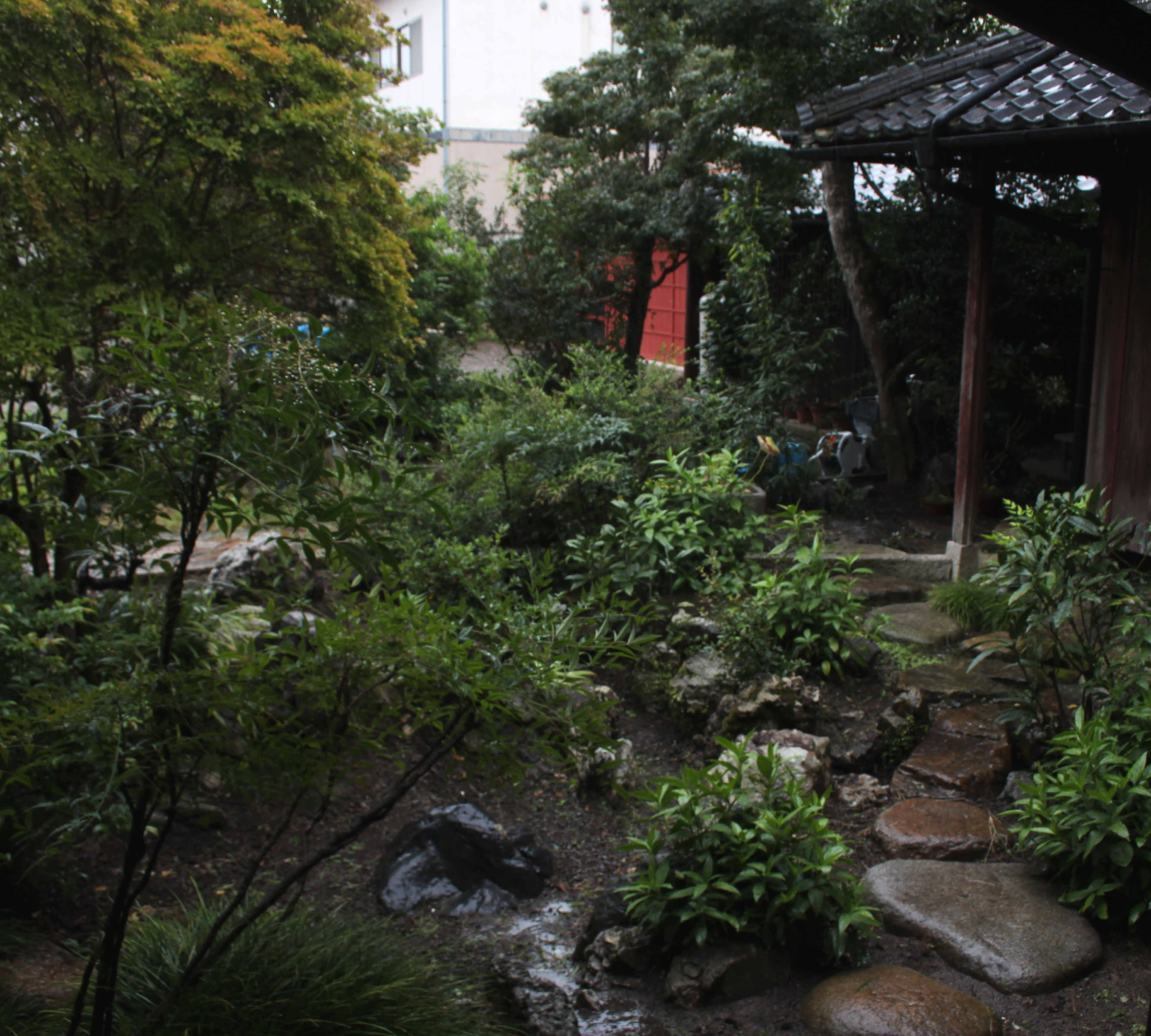 front garden
