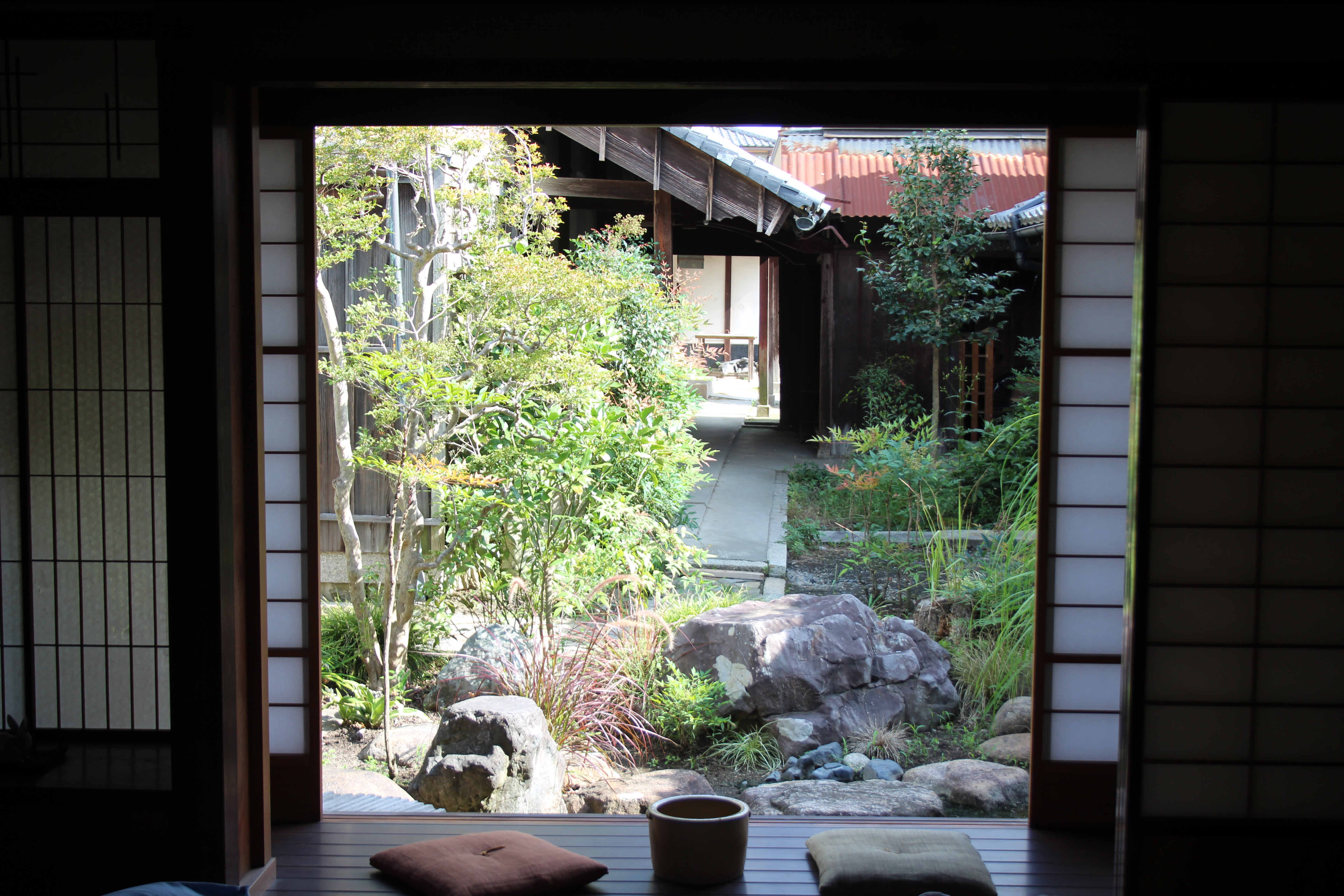 garden view