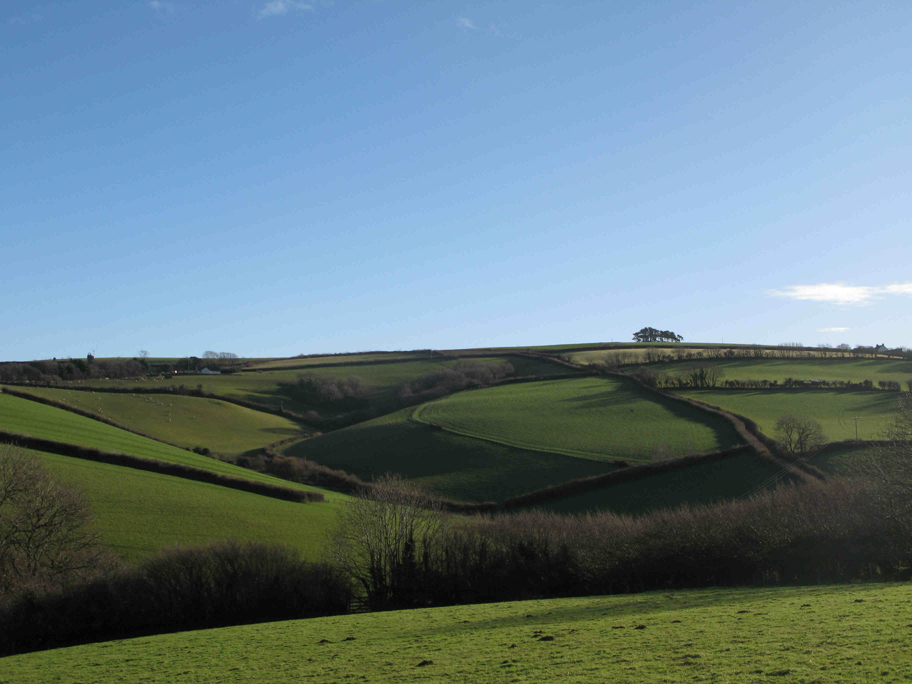 Devon Hills 1