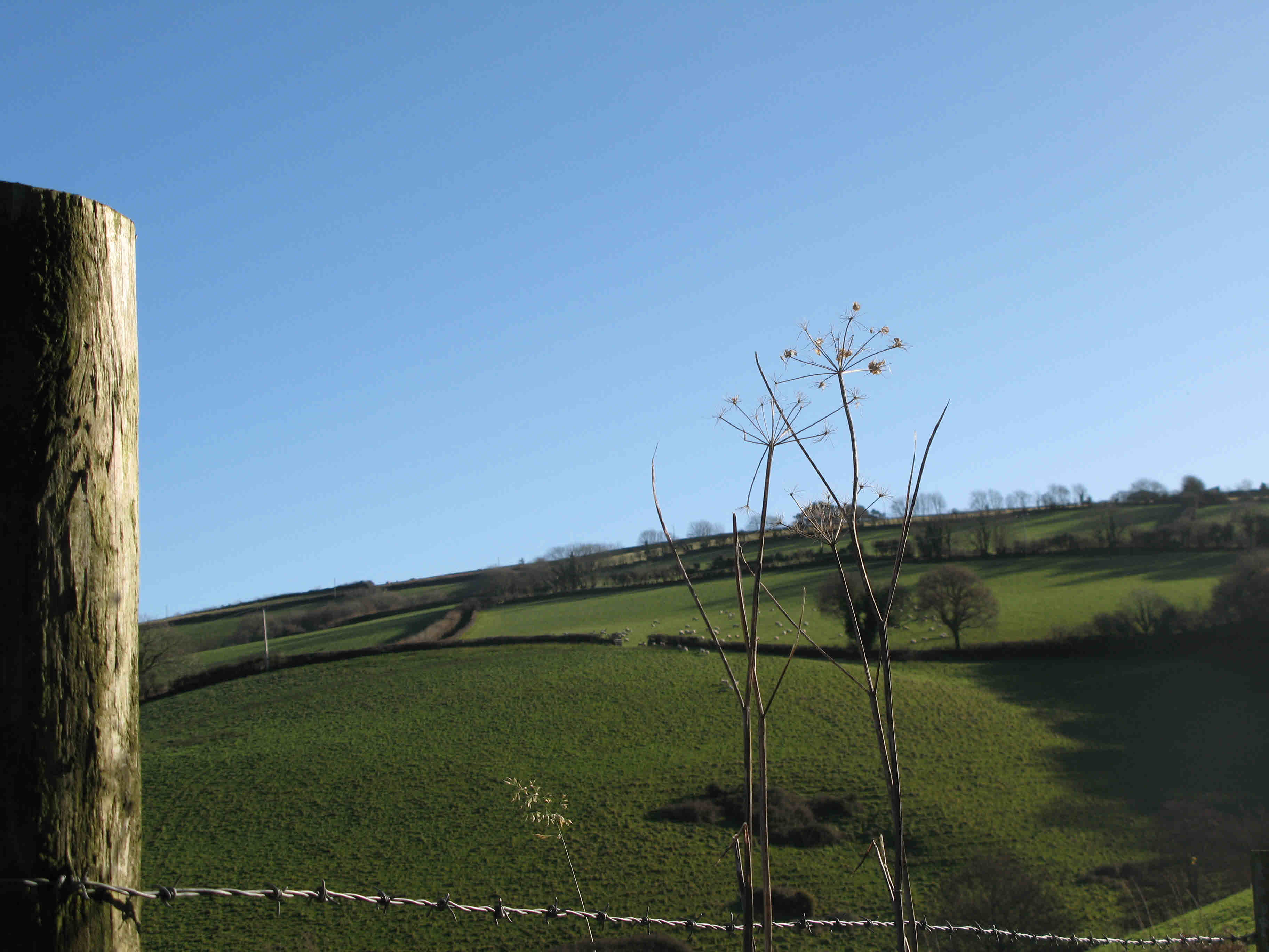 landscape 2