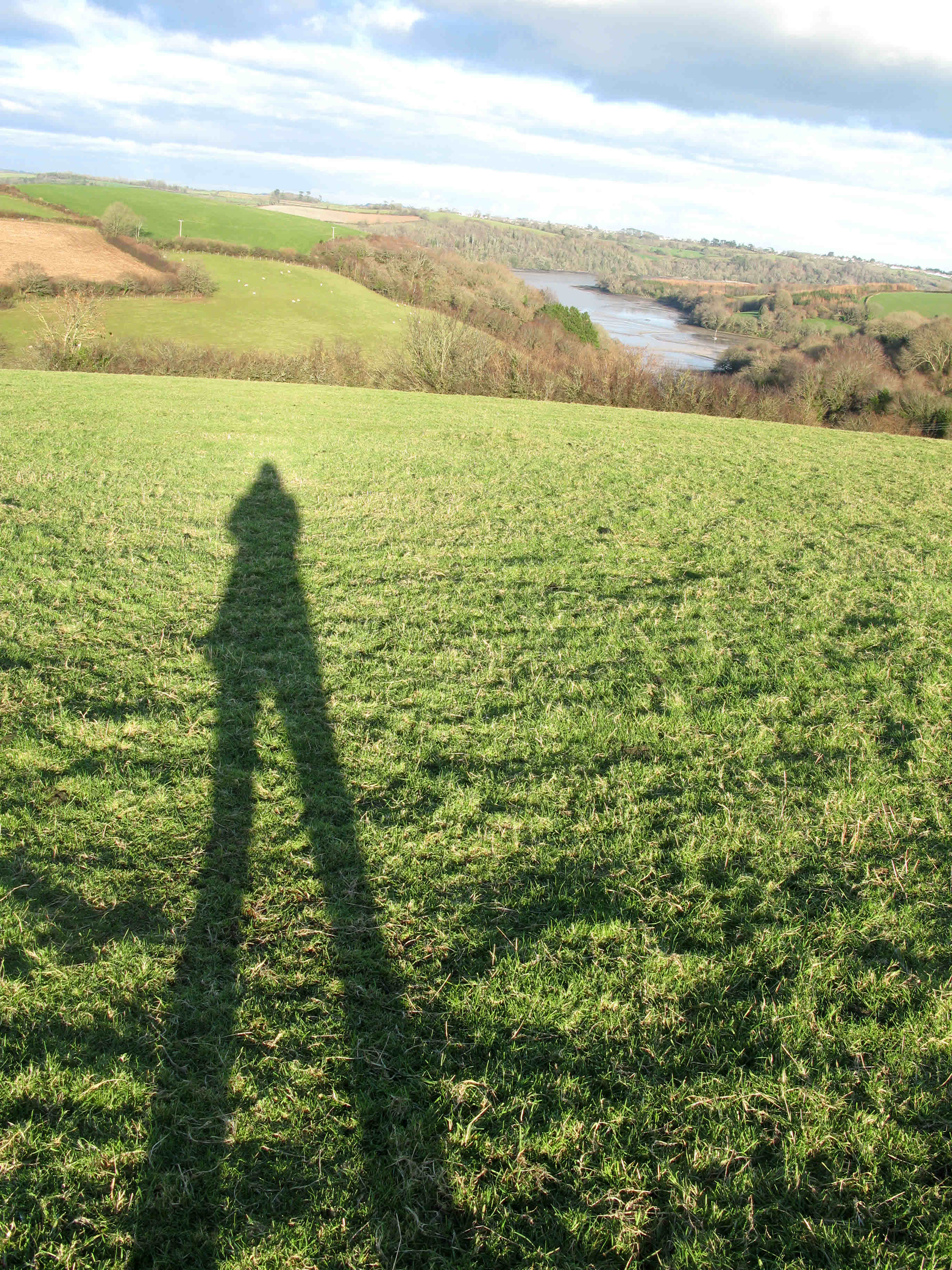 long shadows