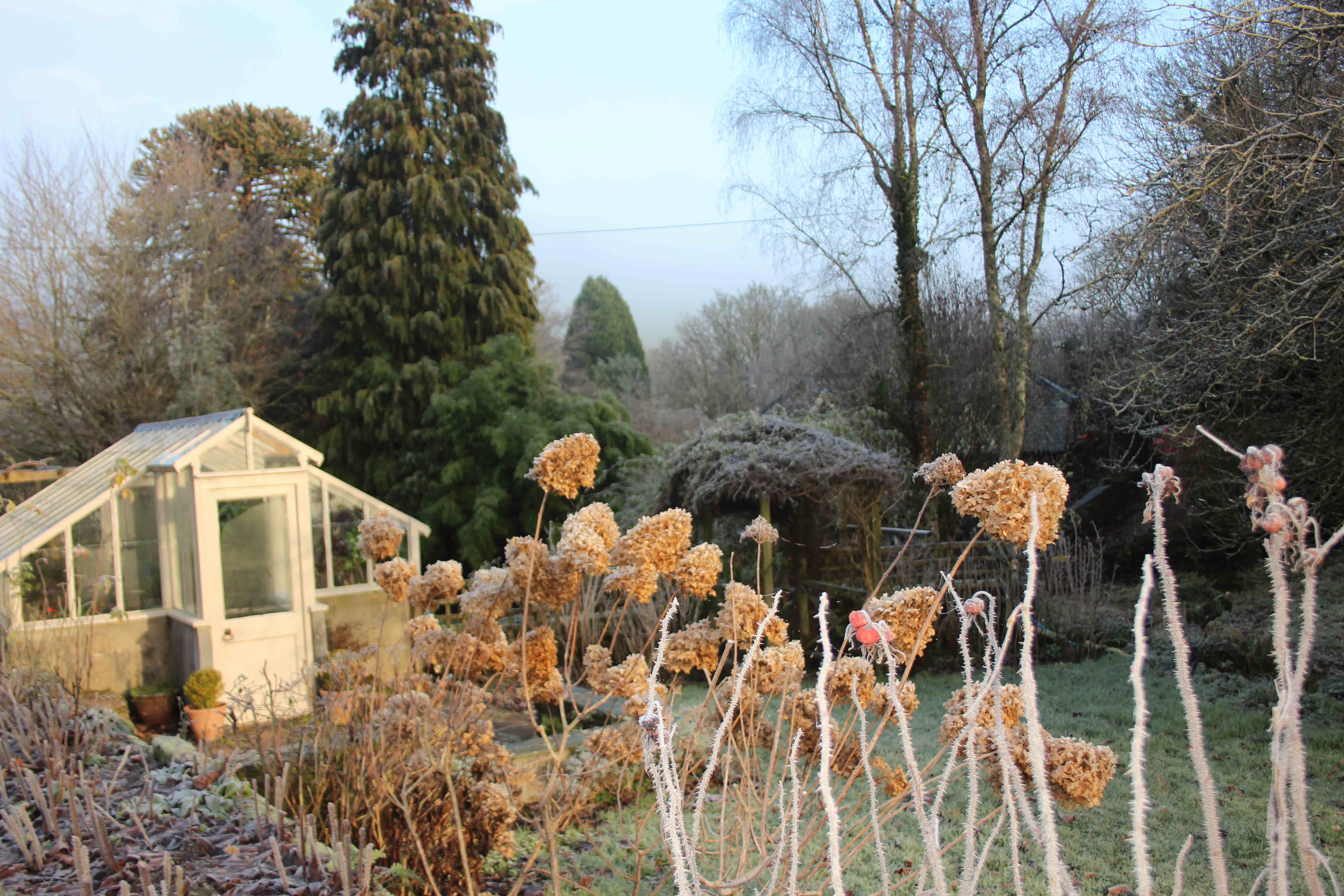winter greenhouse