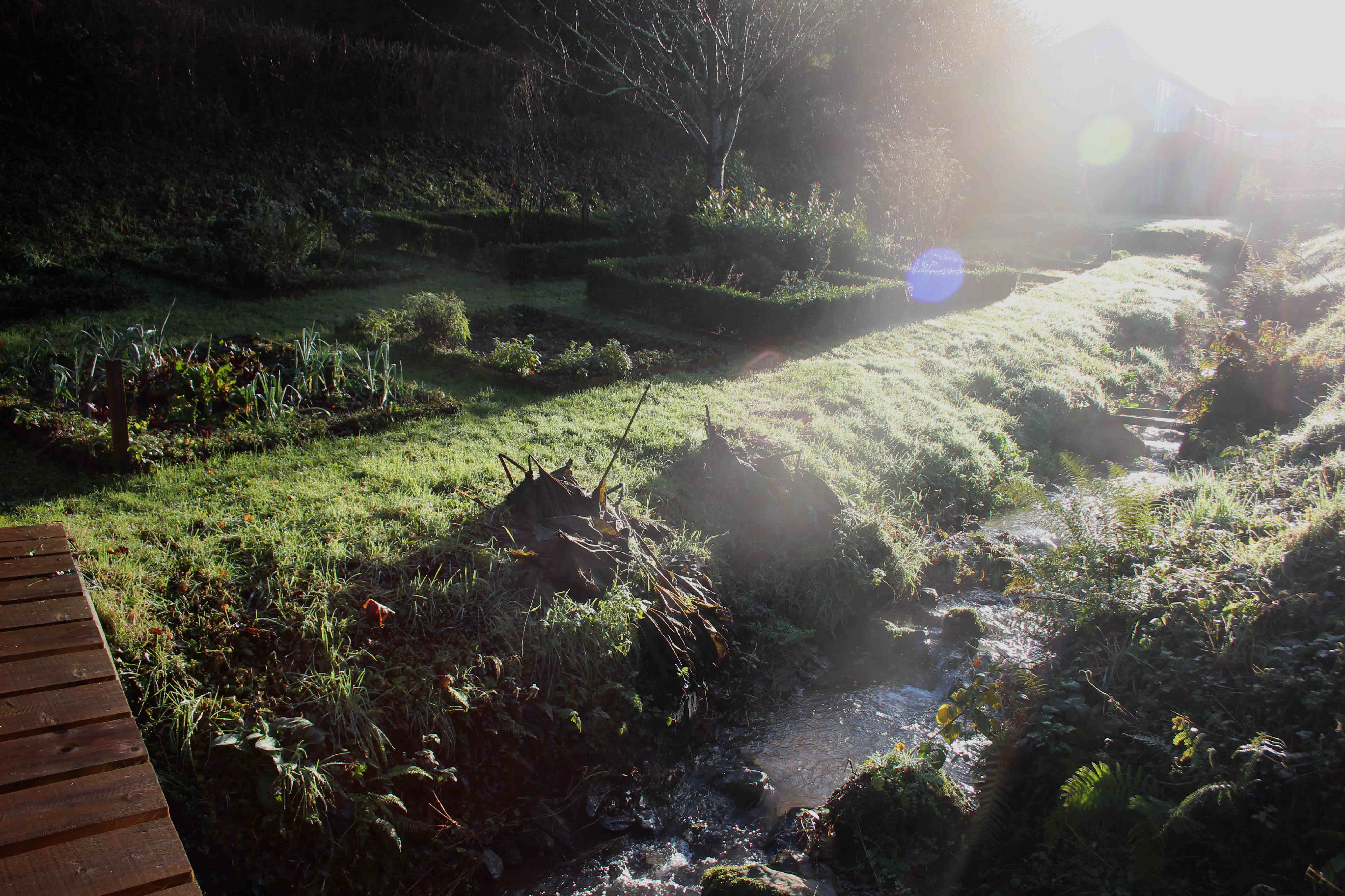 winter stream
