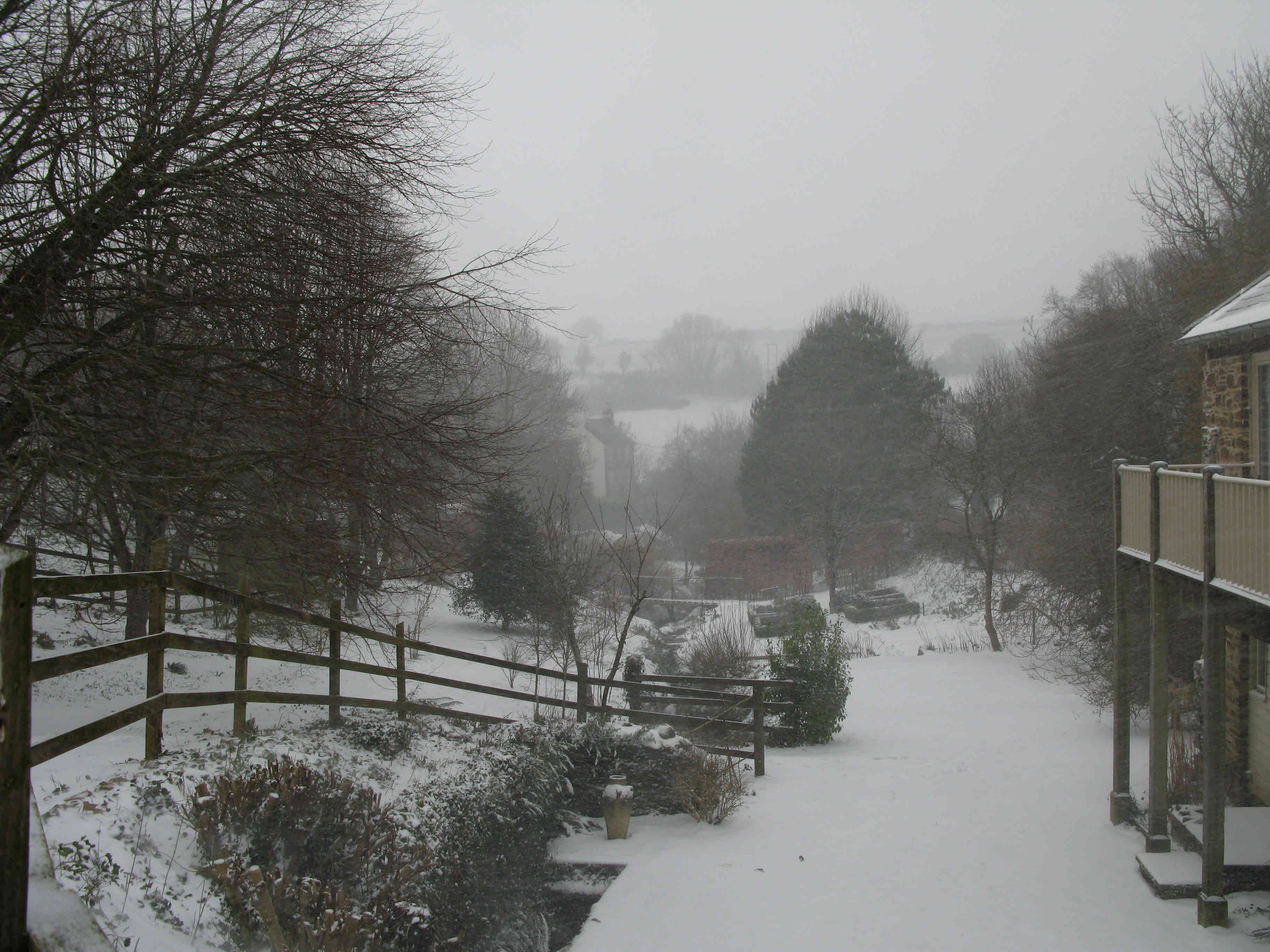 garden 1