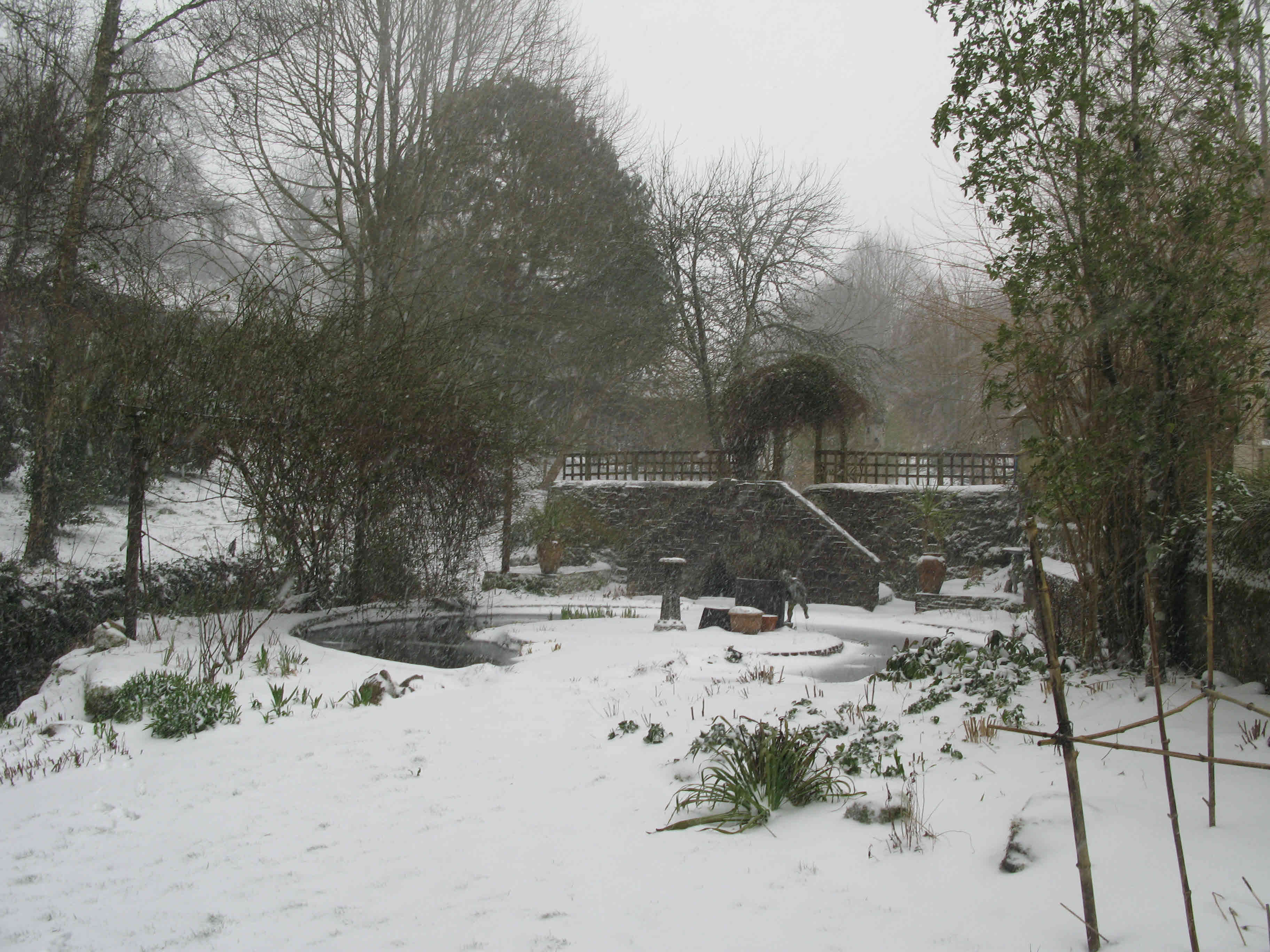 pond