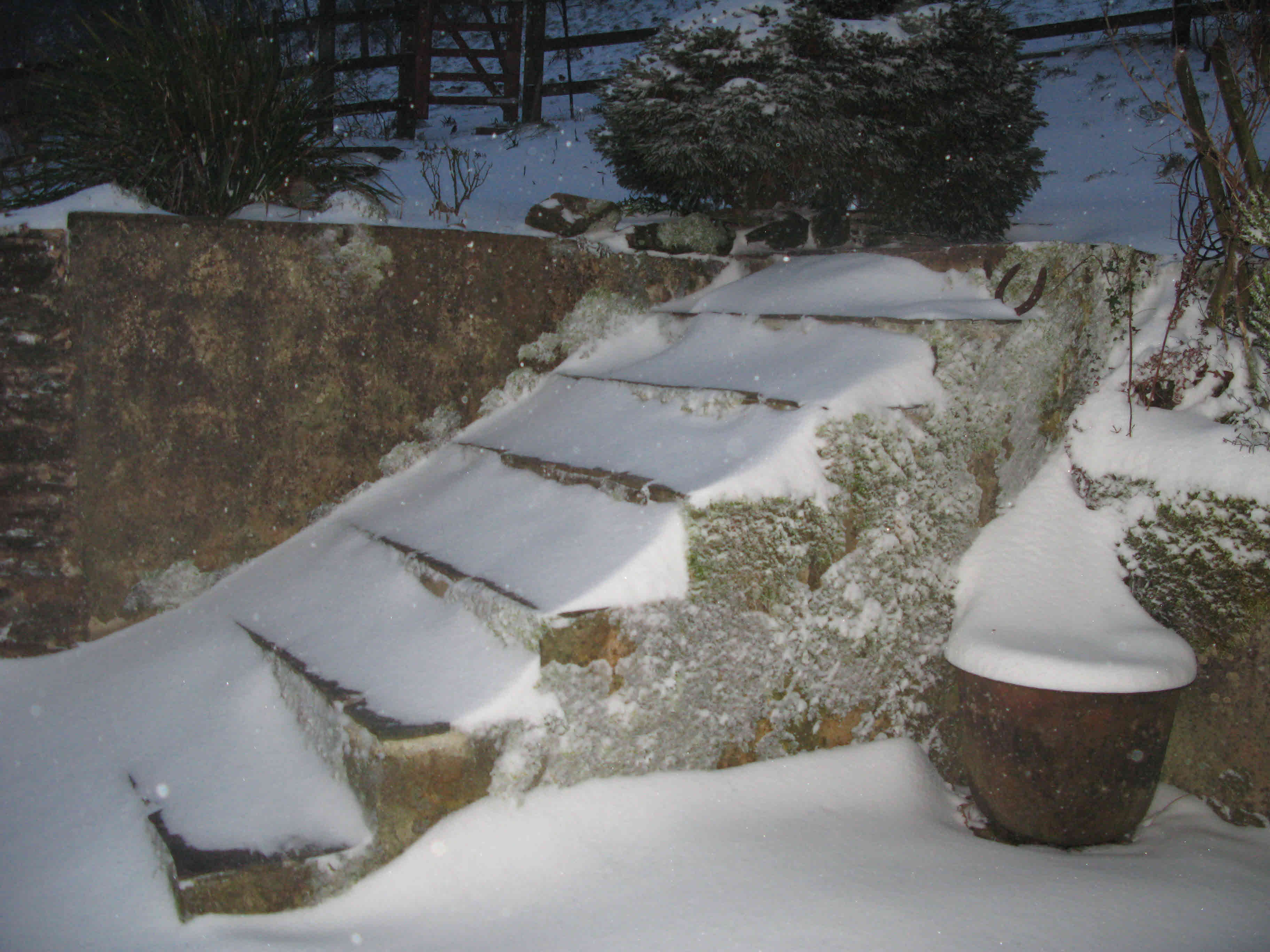steps