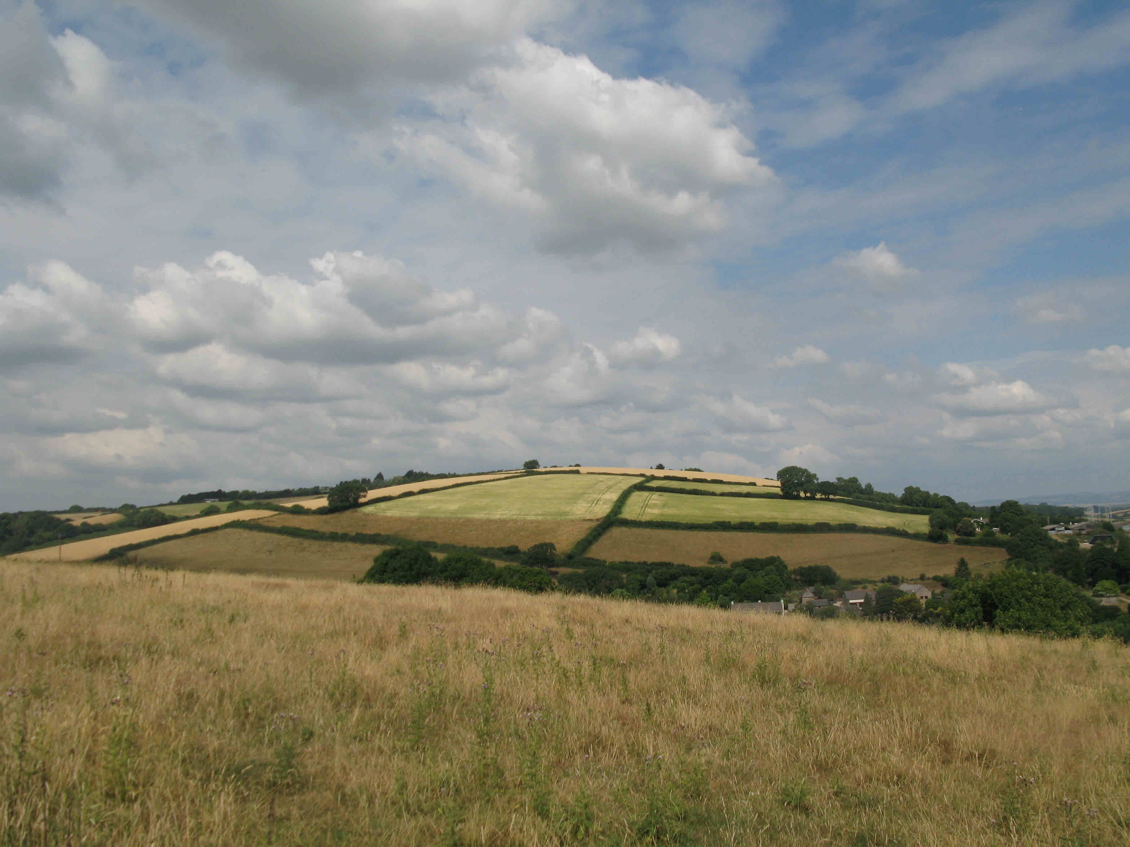 Brown fields