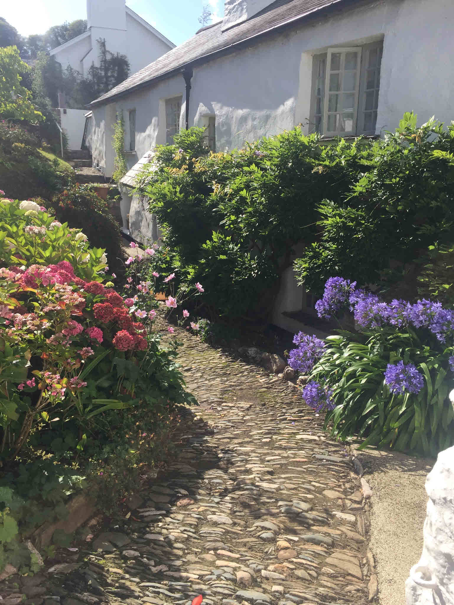 village gdn